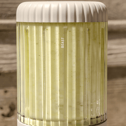 Rooting for Immunity Beast Health Blend Recipes